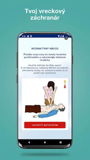 Mountain Rescue Service screenshot 5