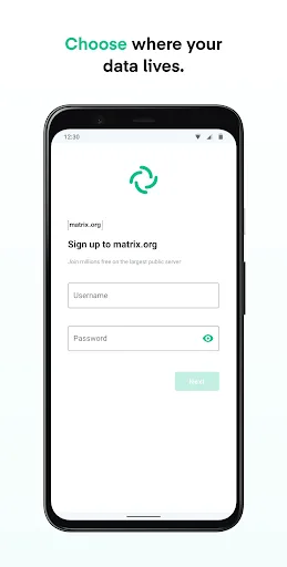 Element Classic screenshot 1