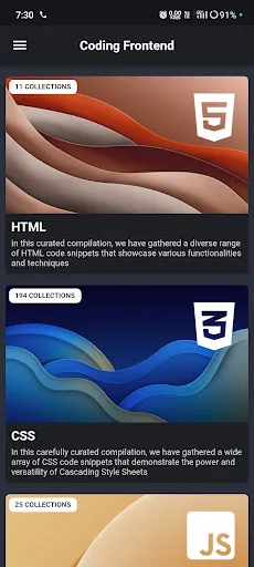 Coding Frontend: HTML, CSS, JS screenshot 1