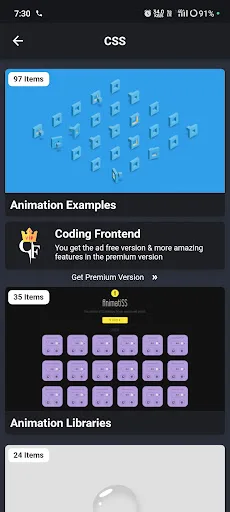 Coding Frontend: HTML, CSS, JS screenshot 2
