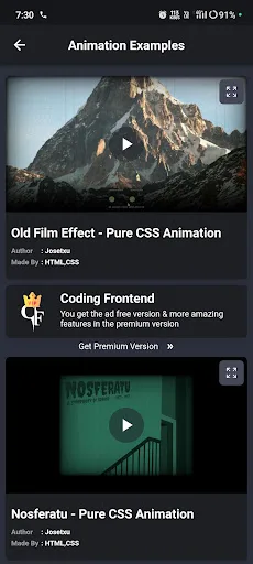 Coding Frontend: HTML, CSS, JS screenshot 3