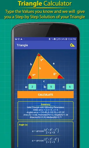 Triangle Calculator Pro - AI screenshot 3