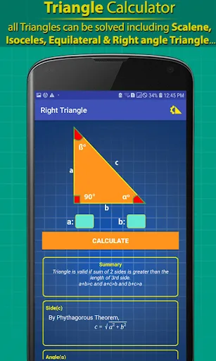 Triangle Calculator Pro - AI screenshot 5
