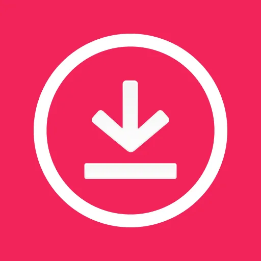 Video Downloader - Story Saver