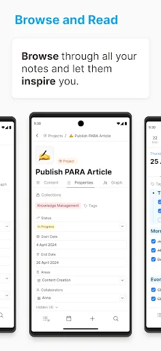 Capacities – Notes & PKM screenshot 4