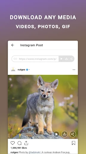Friendly For Instagram screenshot 2