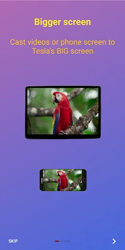 Tesla Display screenshot 3
