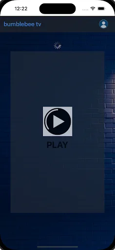 Blitz Streams screenshot 2