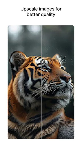 Pixelbin: AI Photo Editor screenshot 4