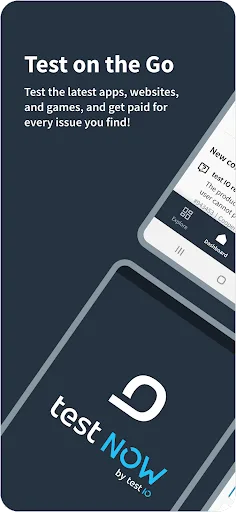 testNow - Crowdtesting screenshot 1
