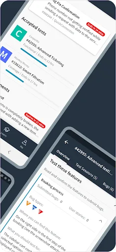 testNow - Crowdtesting screenshot 2