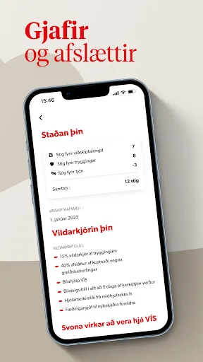VÍS screenshot 3