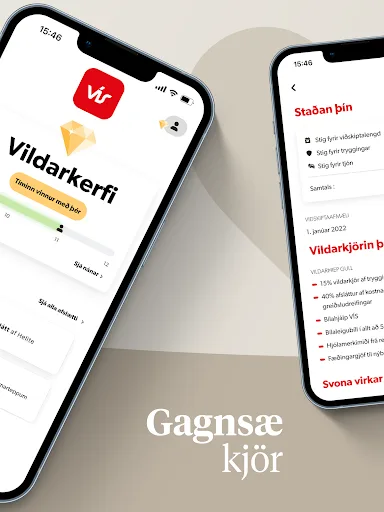 VÍS screenshot 5