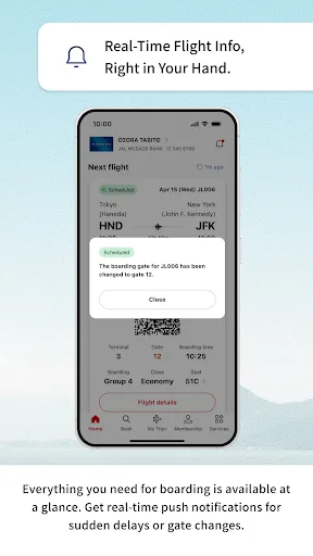 Japan Airlines screenshot 4