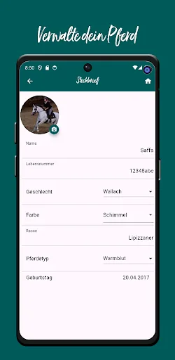 Pferdesporthaus Loesdau screenshot 4