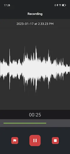 Voice Recorder & Memos Pro screenshot 1