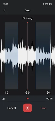 Voice Recorder & Memos Pro screenshot 3