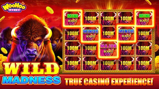 Woohoo™Casino-Vegas Slot Games screenshot 3