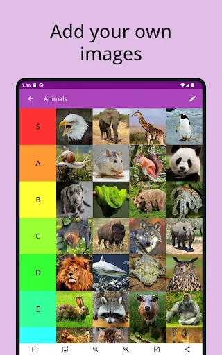 Tier List Maker screenshot 5