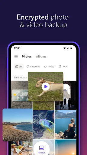Proton Drive: Cloud Storage screenshot 1