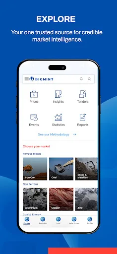 BigMint screenshot 2