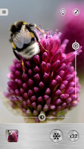 Magnifier Plus with Flashlight screenshot 3