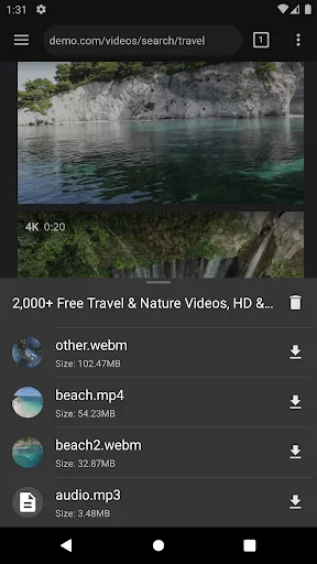 Video Downloader Pro screenshot 2