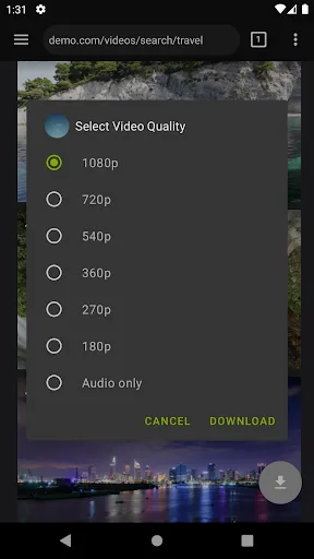 Video Downloader Pro screenshot 3