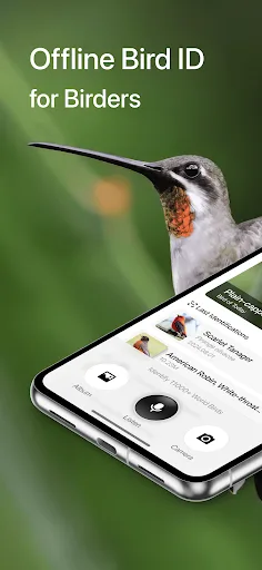 Aboutbirds screenshot 1