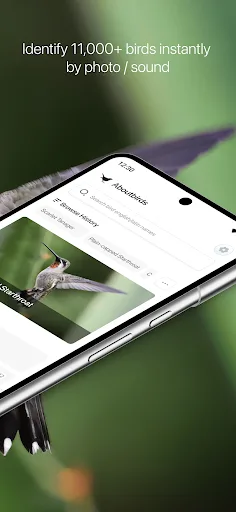 Aboutbirds screenshot 2