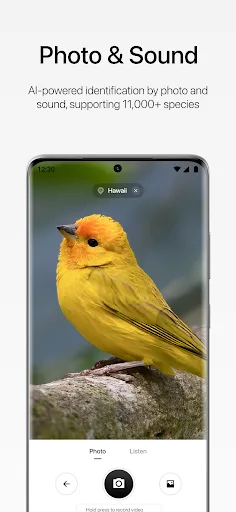 Aboutbirds screenshot 3