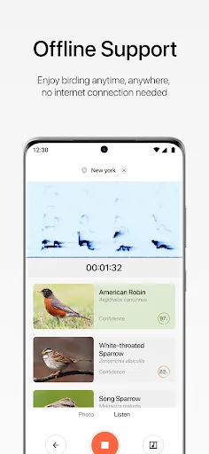 Aboutbirds screenshot 4