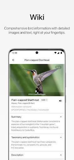 Aboutbirds screenshot 5