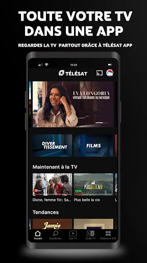 TÉLÉSAT screenshot 1