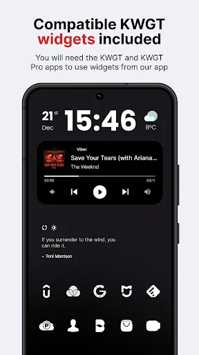 Lena White: Glyph Icon Pack screenshot 3