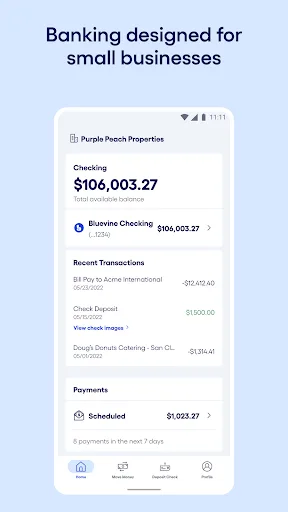 Bluevine screenshot 1