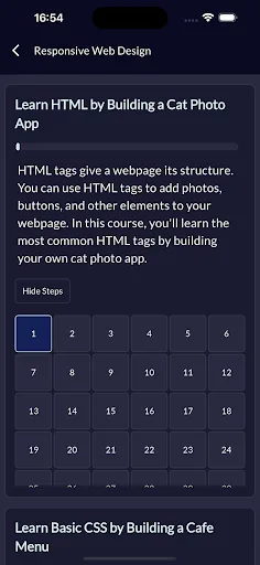 freeCodeCamp screenshot 3