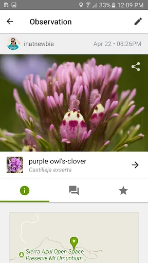 iNaturalist screenshot 1