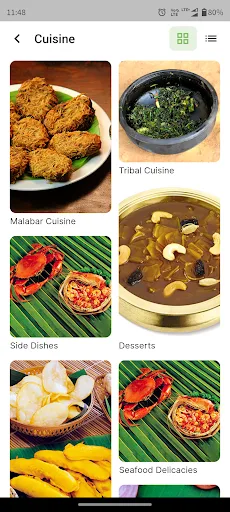 Kerala Tourism screenshot 5