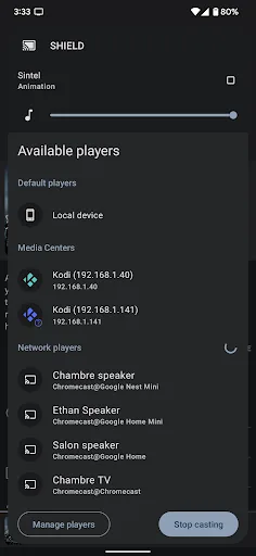 Yatse: Kodi remote and cast screenshot 2