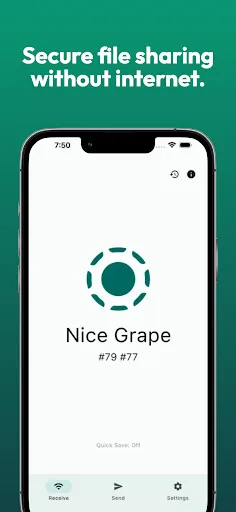 LocalSend: Transfer Files screenshot 1