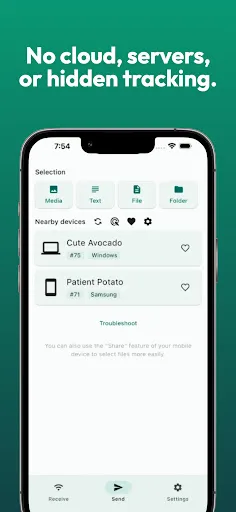 LocalSend: Transfer Files screenshot 2
