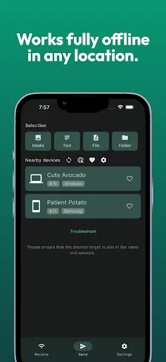 LocalSend: Transfer Files screenshot 3