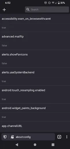 Firefox Nightly for Developers screenshot 2