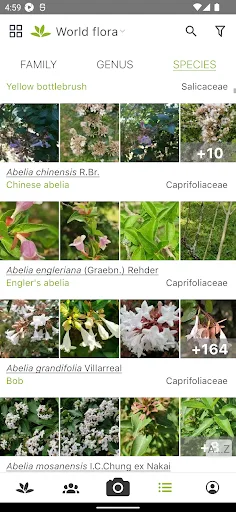 PlantNet Plant Identification screenshot 3