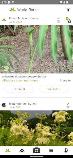PlantNet Plant Identification screenshot 4