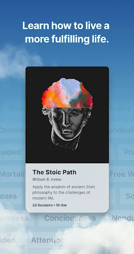 Waking Up: Meditation & Wisdom screenshot 4