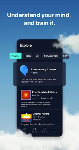 Waking Up: Meditation & Wisdom screenshot 5