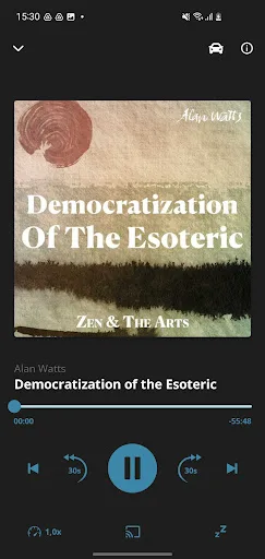 Alan Watts screenshot 4