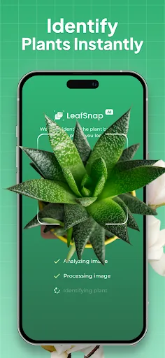 Plant Identifier: LeafSnap screenshot 1